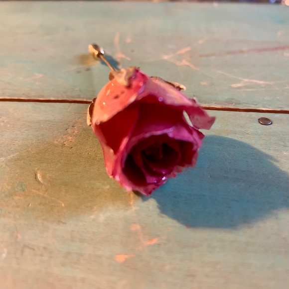 🌹Vintage Natural Preserved Rose Flower Stick Pin Brooch - Gorgeous🌹 - Picture 8 of 10